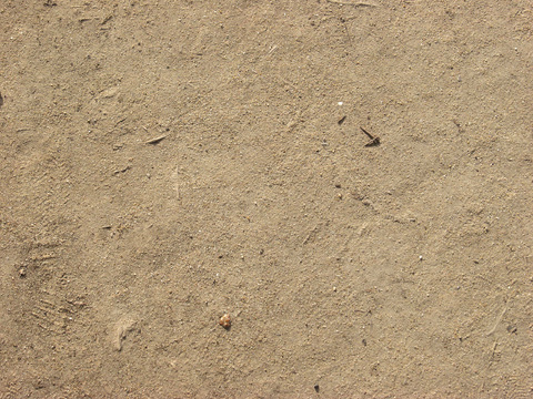  沙土地面  地面 