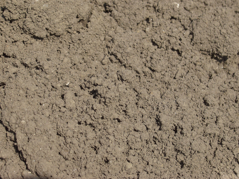  沙土地面  地面 