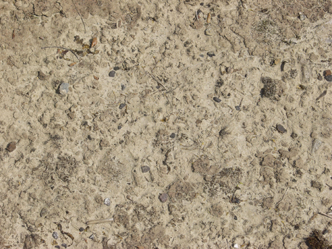  沙土地面  地面 