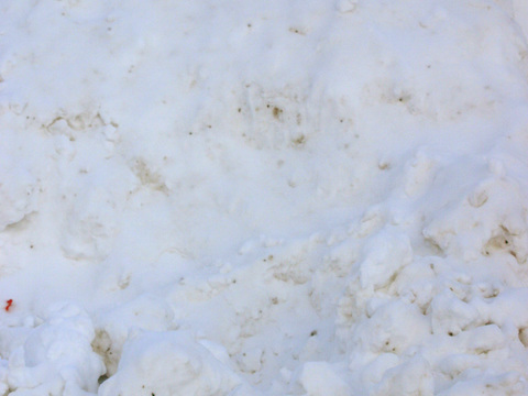  雪地地面 雪地 