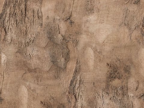  树干 旧木 树皮 