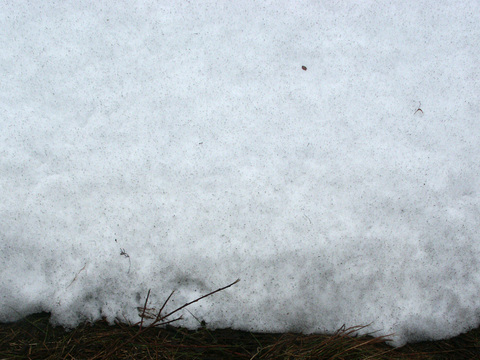  雪地地面 雪地 