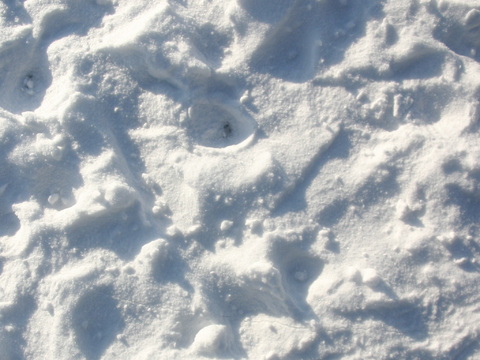  雪地地面 雪地 