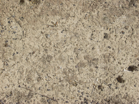  沙土地面  地面 