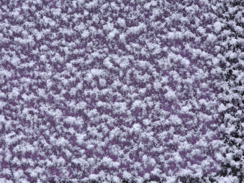  雪地地面 雪地 