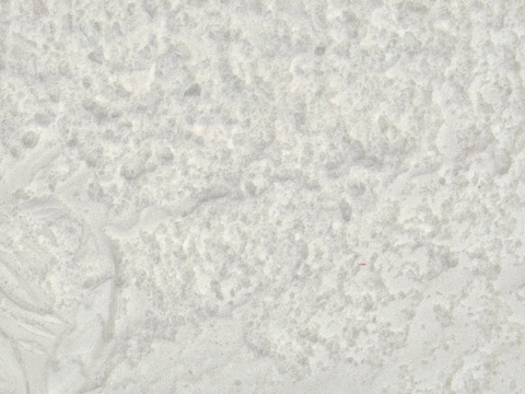  雪地地面 雪地 