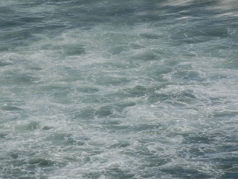  水波紋  水泡 