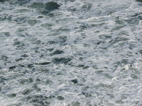  水波紋  水泡 