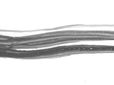  飞溅水平方向污迹 黑白凹凸 