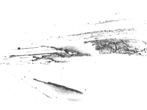  塑料上的水迹 黑白凹凸 