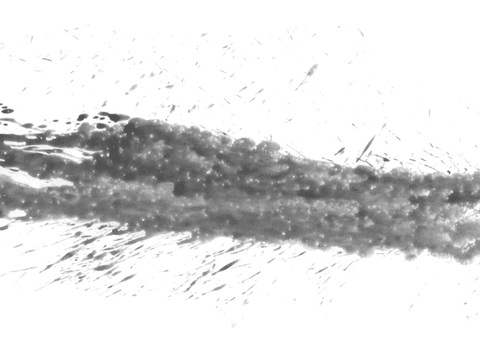  飞溅矩形水迹污垢 黑白凹凸 