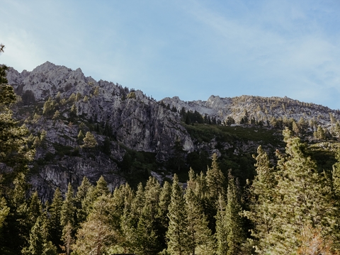  公园外景  环境贴图 
