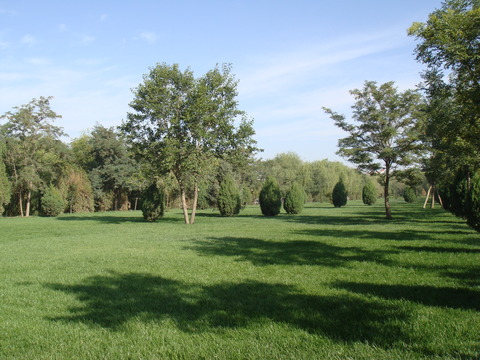  樹林草地外景 公園外景 