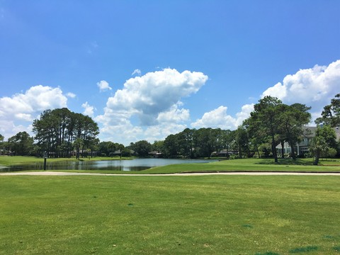  樹林草地外景 公園外景 