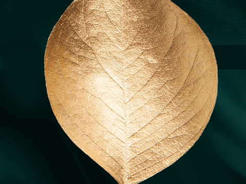  简约挂画  叶子 