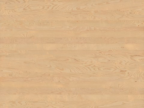  高清无缝木纹  木纹    浅色木纹   南美枫木 