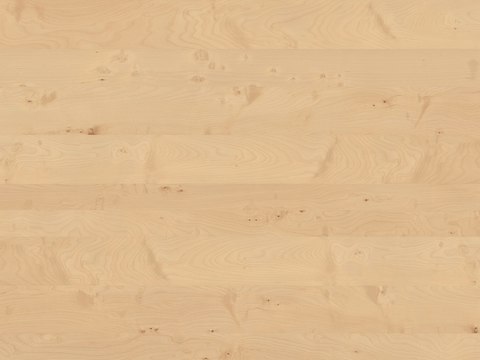  高清无缝木纹  木纹   橡木   浅色木纹   南美枫木 