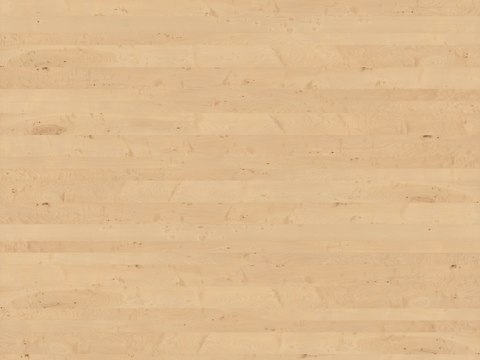  高清无缝木纹  木纹   橡木   浅色木纹   南美枫木 