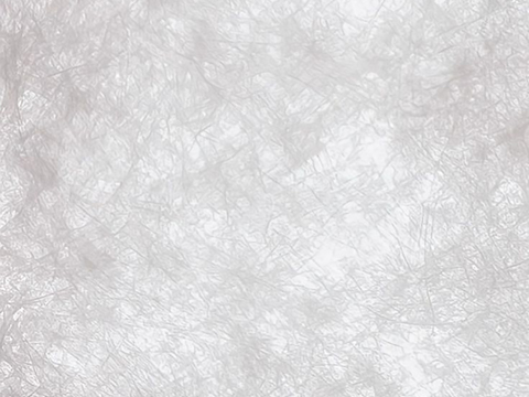  米白色透光杜邦纸 