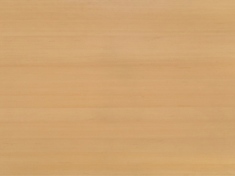  枫木木纹 