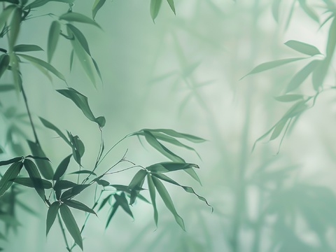  中式竹子竹林壁纸壁画 