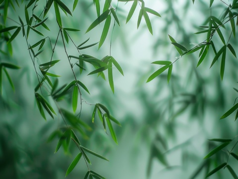  中式竹子竹林壁纸壁画 