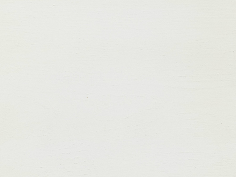  精品水泥 极品水泥 