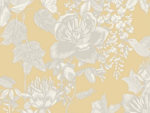  欧式壁纸 法式风情 壁纸 