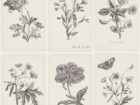  简约 现代 田园 