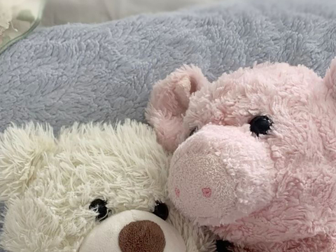 电视电脑屏幕  手机电子屏幕 投影