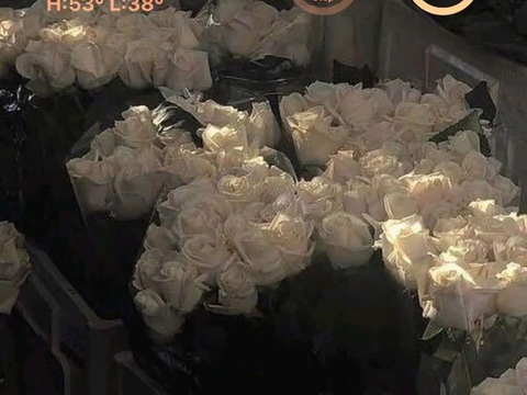  电视电脑屏幕  手机电子屏幕 投影 