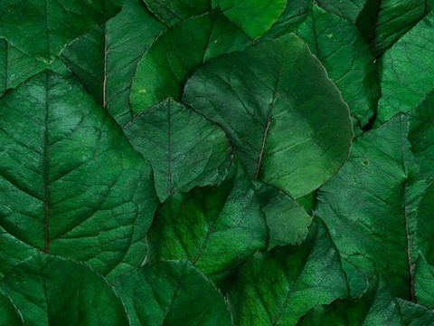  现代壁画 装饰画 