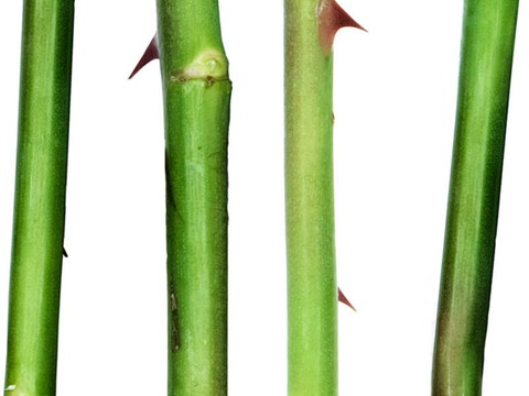  现代壁画 装饰画 