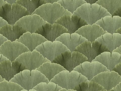  銀杏  肌理墻布壁紙 針織 亞麻無(wú)縫貼圖 