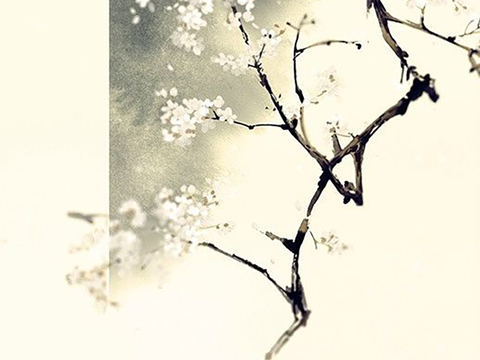  新中式掛畫 藝術(shù)掛畫 簡(jiǎn)約掛畫 