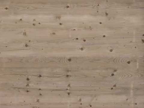 树洞木纹  木板 