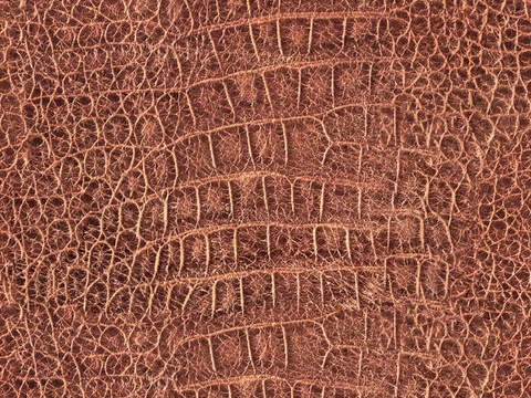  无缝鳄鱼皮革 