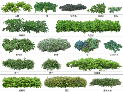  免扣圖地被植物 