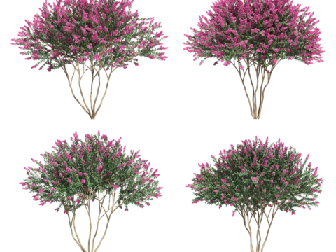 免摳植物 