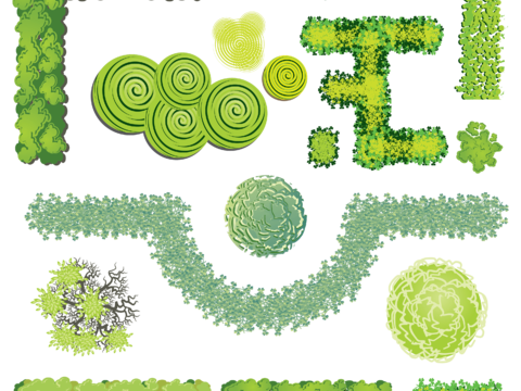  平面景观树免抠图 