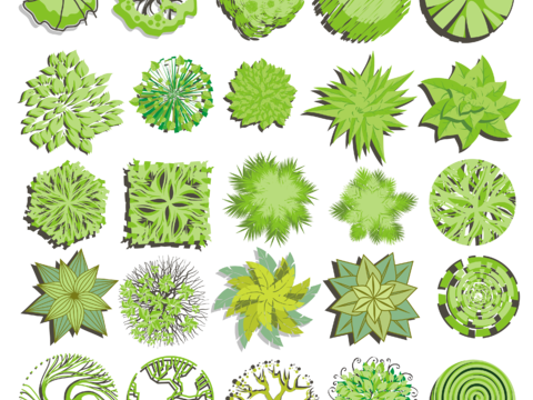  平面景观树免抠图 