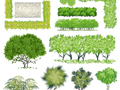  平面景观树免抠图 