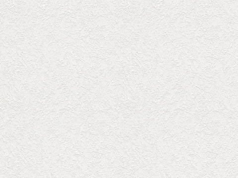  艺术涂料 肌理漆 墙面漆 硅藻泥 