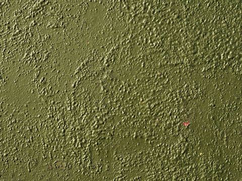  艺术涂料 肌理漆 墙面漆 硅藻泥 