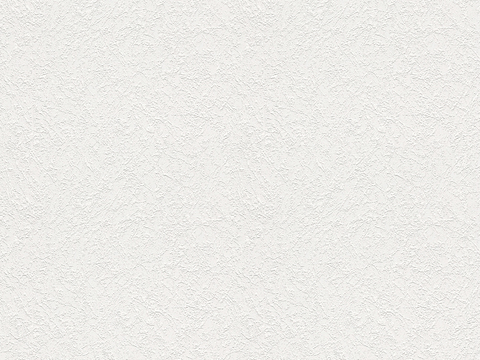  艺术涂料 肌理漆 墙面漆 硅藻泥 