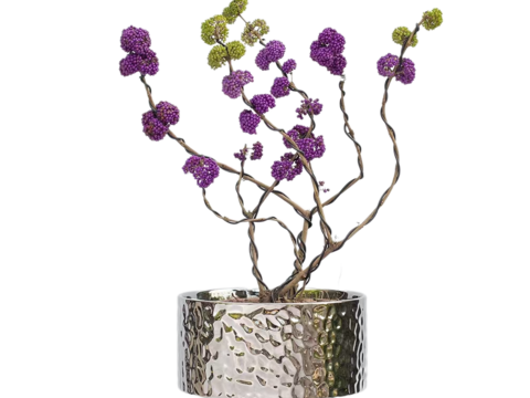  绿植 盆栽 紫珠 