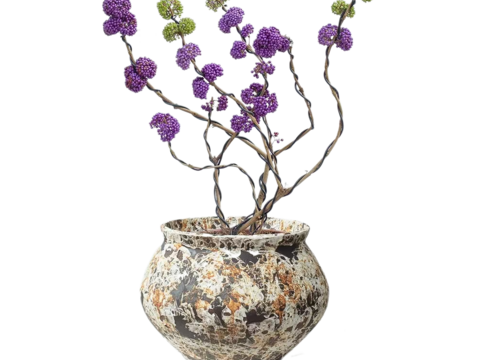  绿植 盆栽 紫珠 