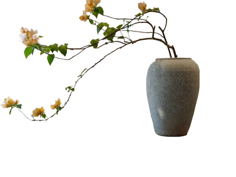  绿植 盆栽 鲜花 