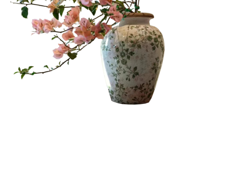  绿植 盆栽 鲜花 