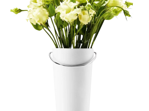  绿植 盆栽 鲜花 